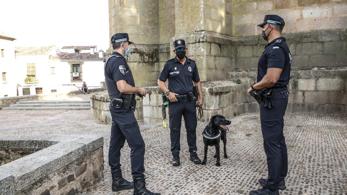 Agentes de la brigada de la policía local destinada a la vigilancia de la plaza de Santiago y su entorno.