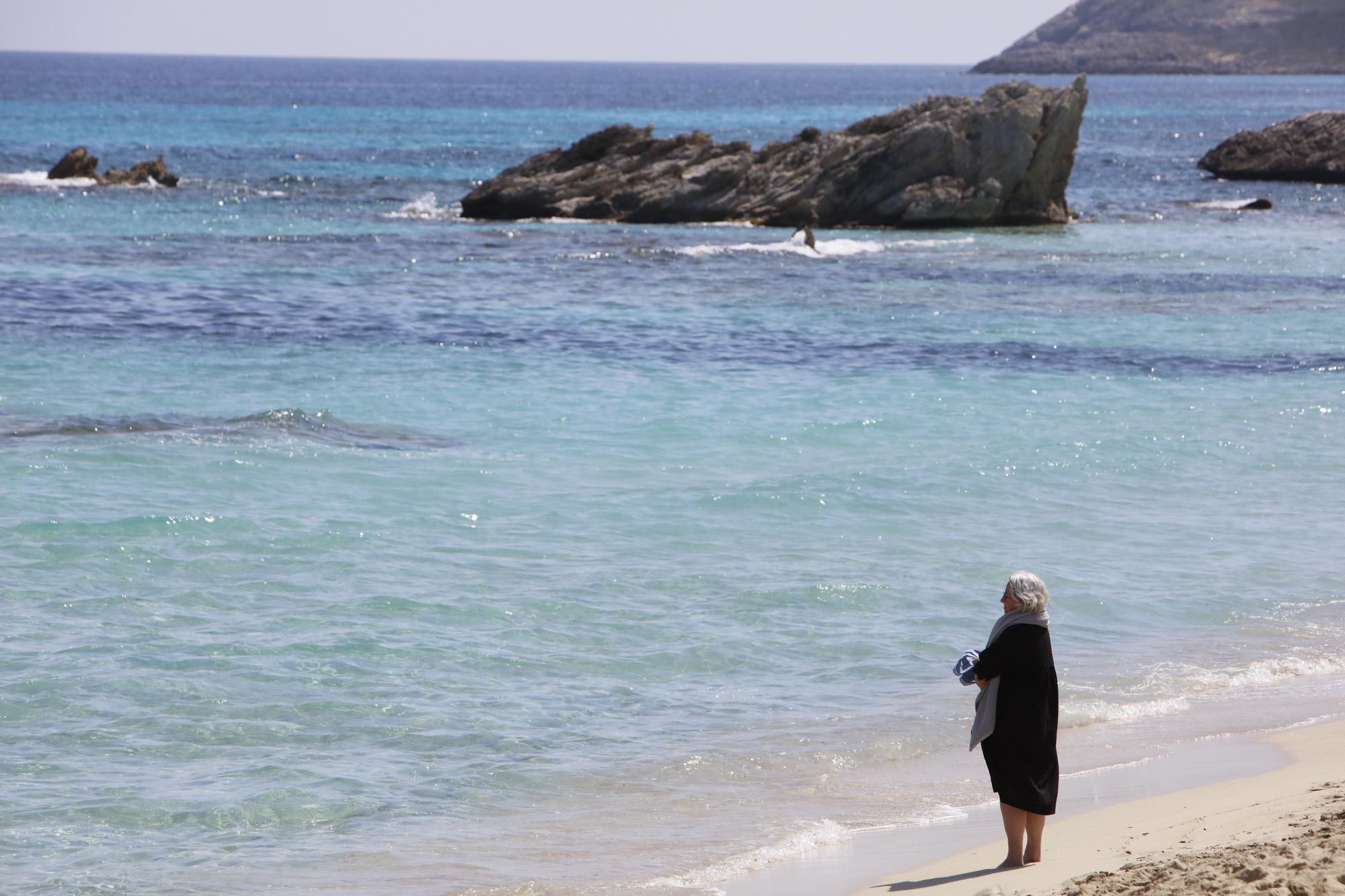 Frühlingsgefühle an der Promenade von Cala Ratjada