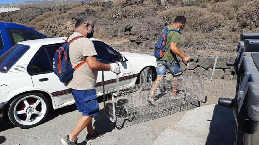 Momento en el que retiran una jaula para gallinas vacía.