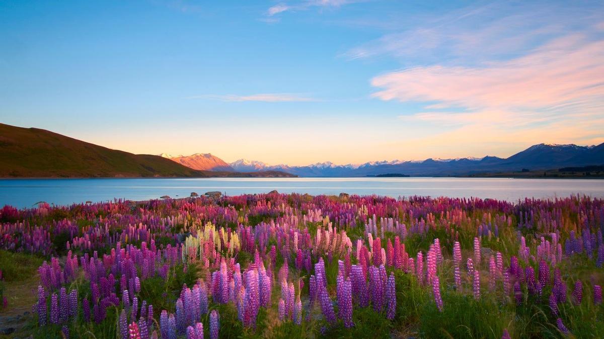 Lago  Tekapo, Nueva Zelanda