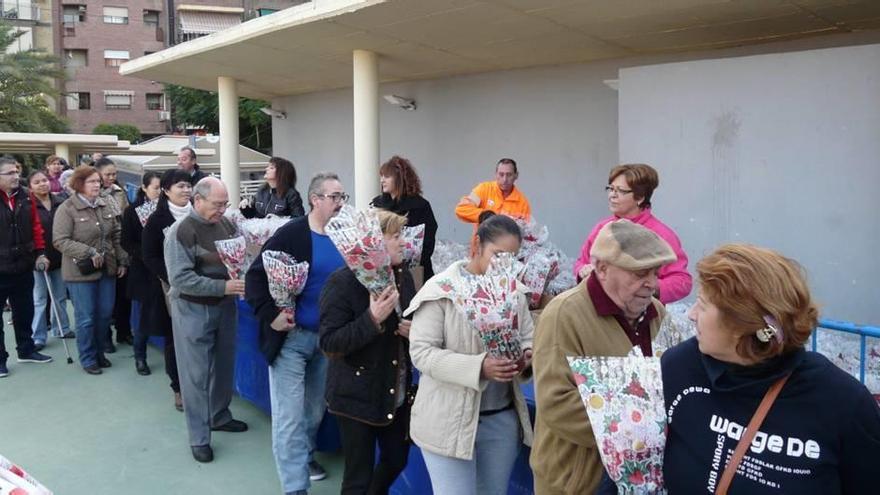 Reparten 3.500 macetas con flores de Pascua