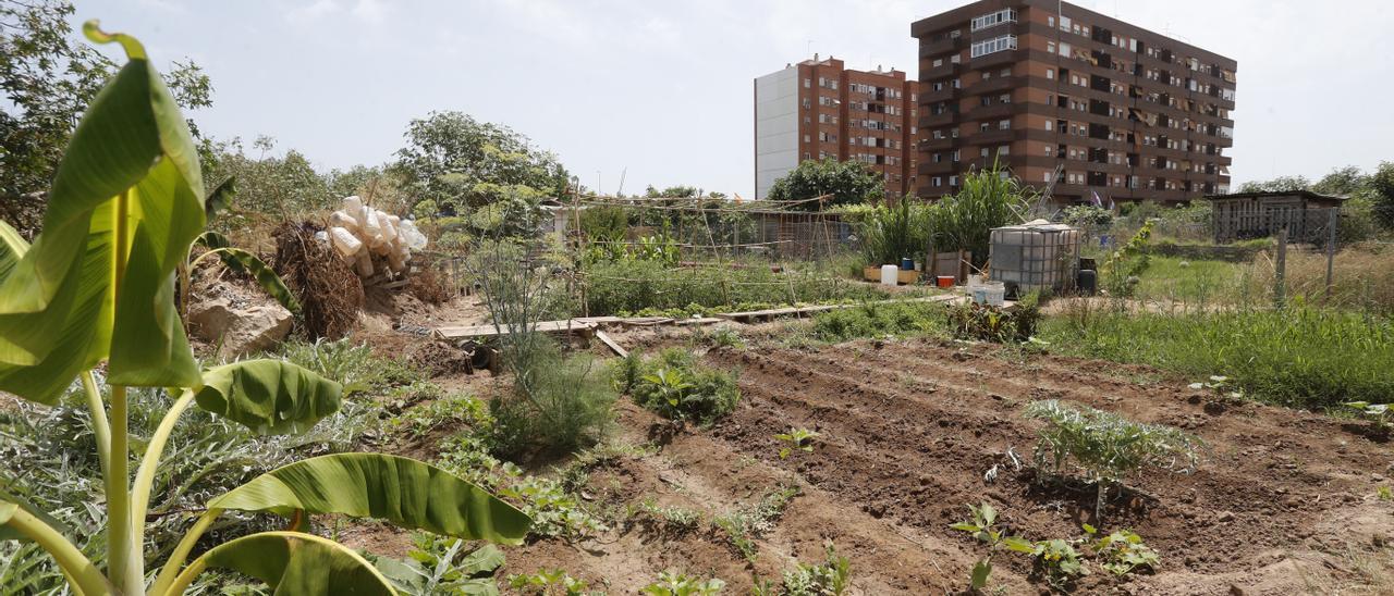 Huertas de Benimaclet, regadas con el ramal del Alegret de la acequia de Mestalla.