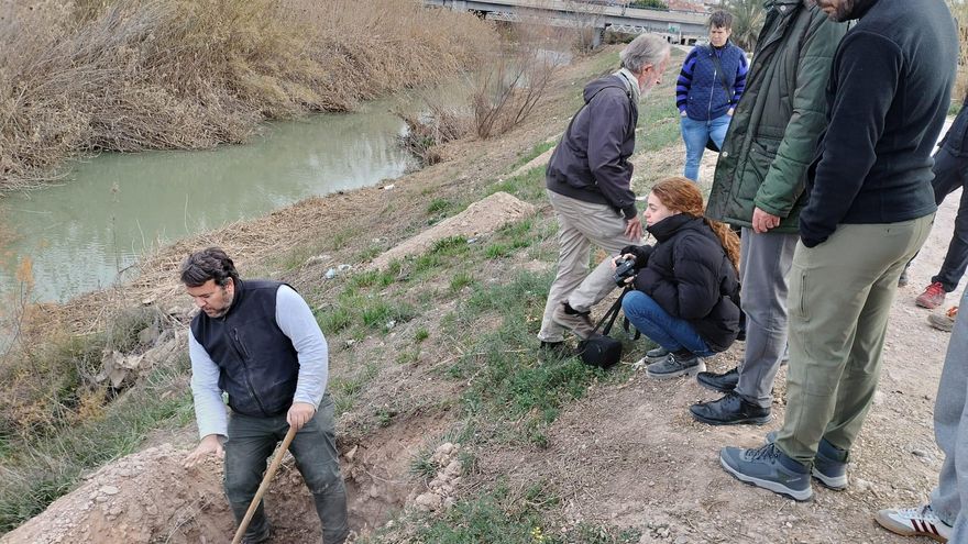 Vecinos y voluntarios plantan un bosque de ribera a orillas del río Segura