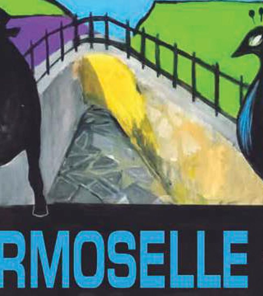 Fiestas de San Agustín en Fermoselle 2025 - Programa completo