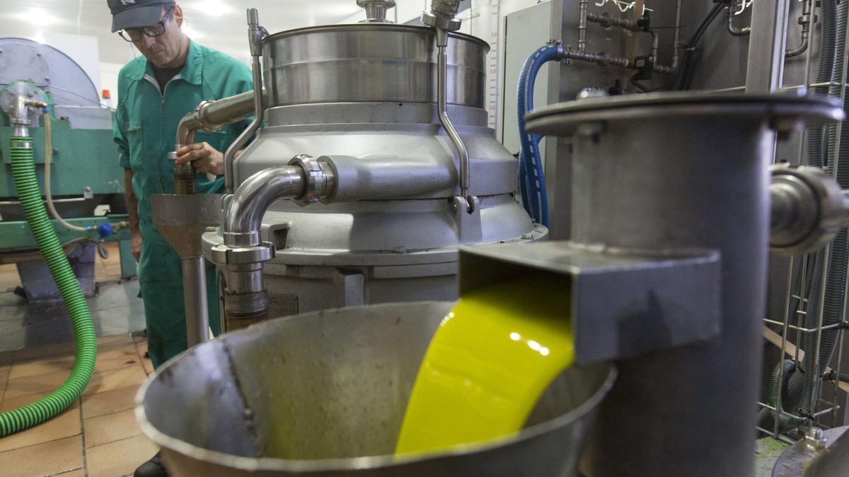 Extracción de aceite de oliva en una almazara cordobesa.
