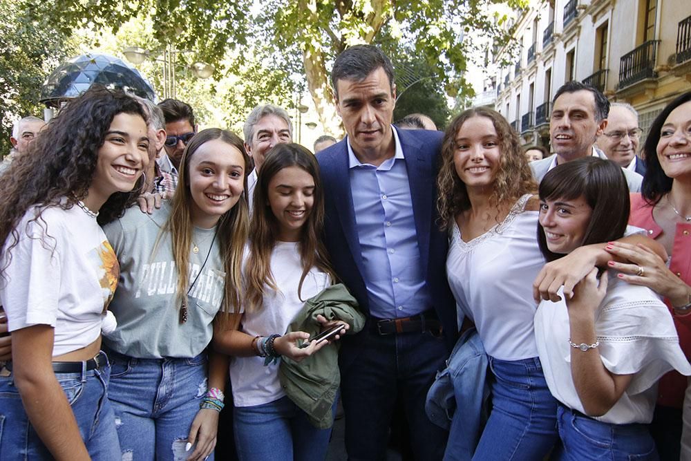 De paseo electoral con Pedro Sánchez