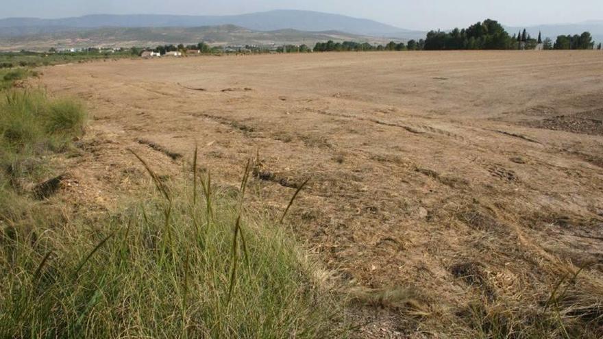 Terreno roturado en el paraje de la Herrada del Manco, cerca del caso urbano de Yecla.