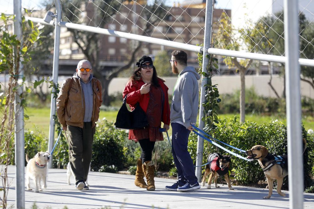 Abre el Parc Central de València