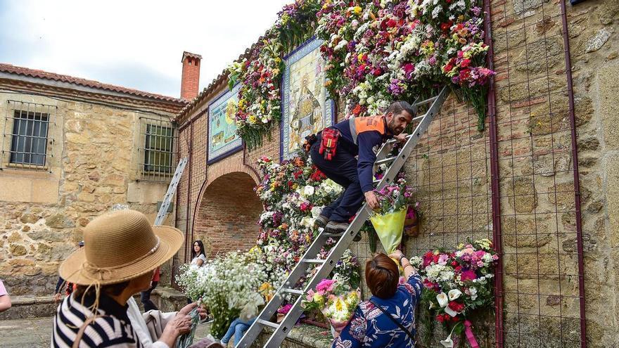 Romería de la Virgen del Puerto en Plasencia: qué hay que saber sobre horarios, tráfico y dispositivo de seguridad