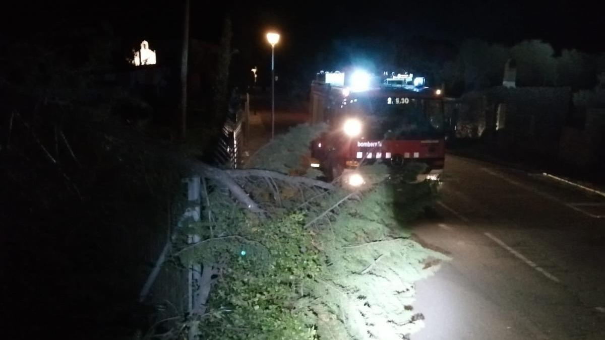 Els Bombers treballant la nit en la retirada d&#039;un arbre de Cadaqués