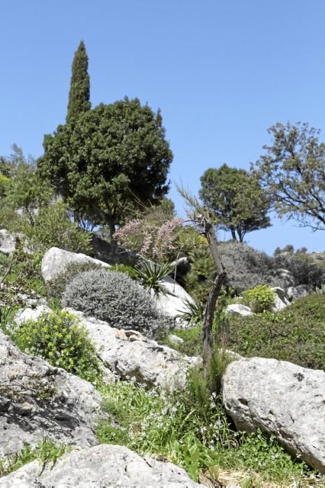 Einer der schönsten Winkel der Insel - das Tal und der Garten von Ariant - kann wieder bei geführten Rundgängen erkundet werden.