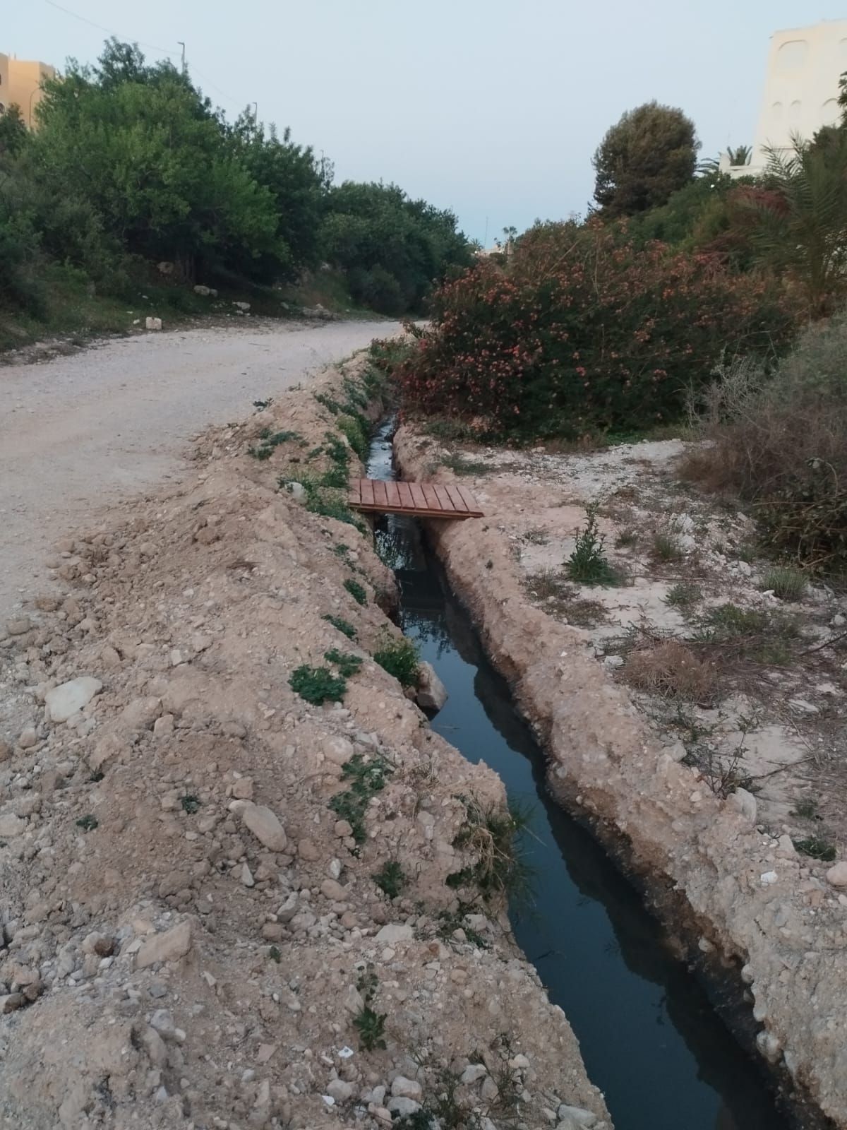 Vertidos fecales tras la rotura de una depuradora en una playa de El Campello