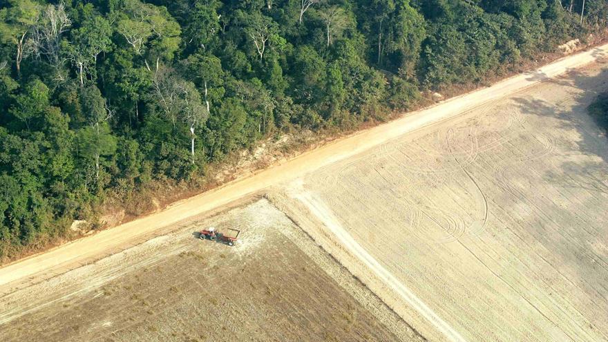 Convocadas las ayudas para la creación de superficies forestales