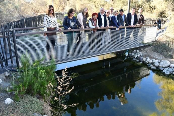 Recorrido por el parque Tony Gallardo