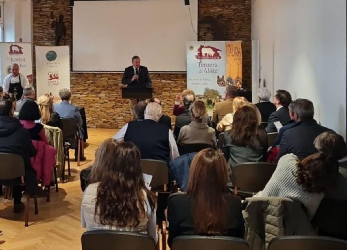 El presidente de la Diputación Provincial, Javier Faúndez, durante su exposición. | Cedida