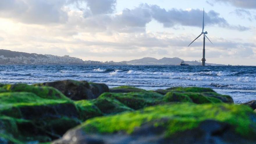 Canarias construye un bloque sólido para dar la bienvenida a la eólica marina