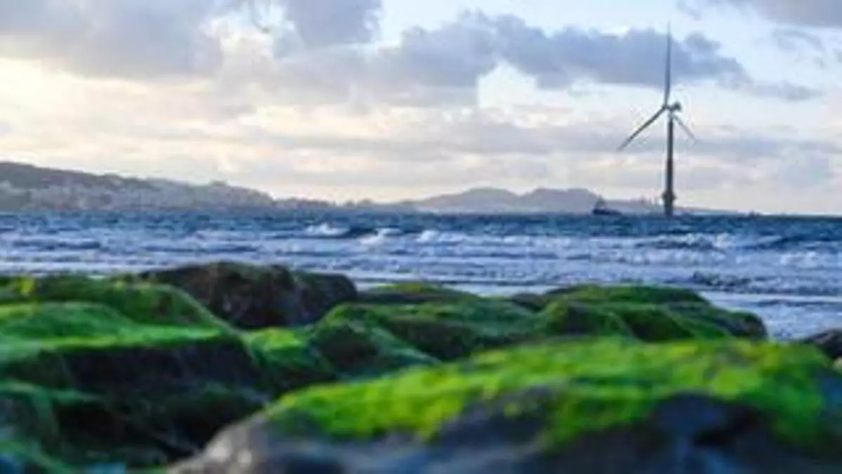 Canarias construye un bloque sólido para dar la bienvenida a la eólica marina