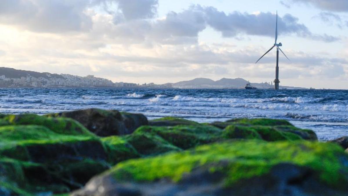 Aerogenerador 'off shore' en la bahía de la capital grancanaria, el único conectado a la red de toda España.