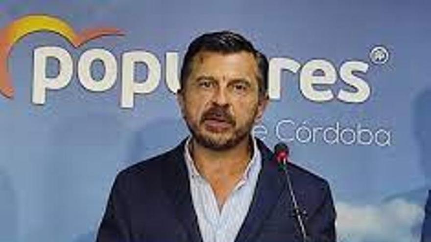 El portavoz del PP en el Parlamento de Andalucía, Toni Martín.