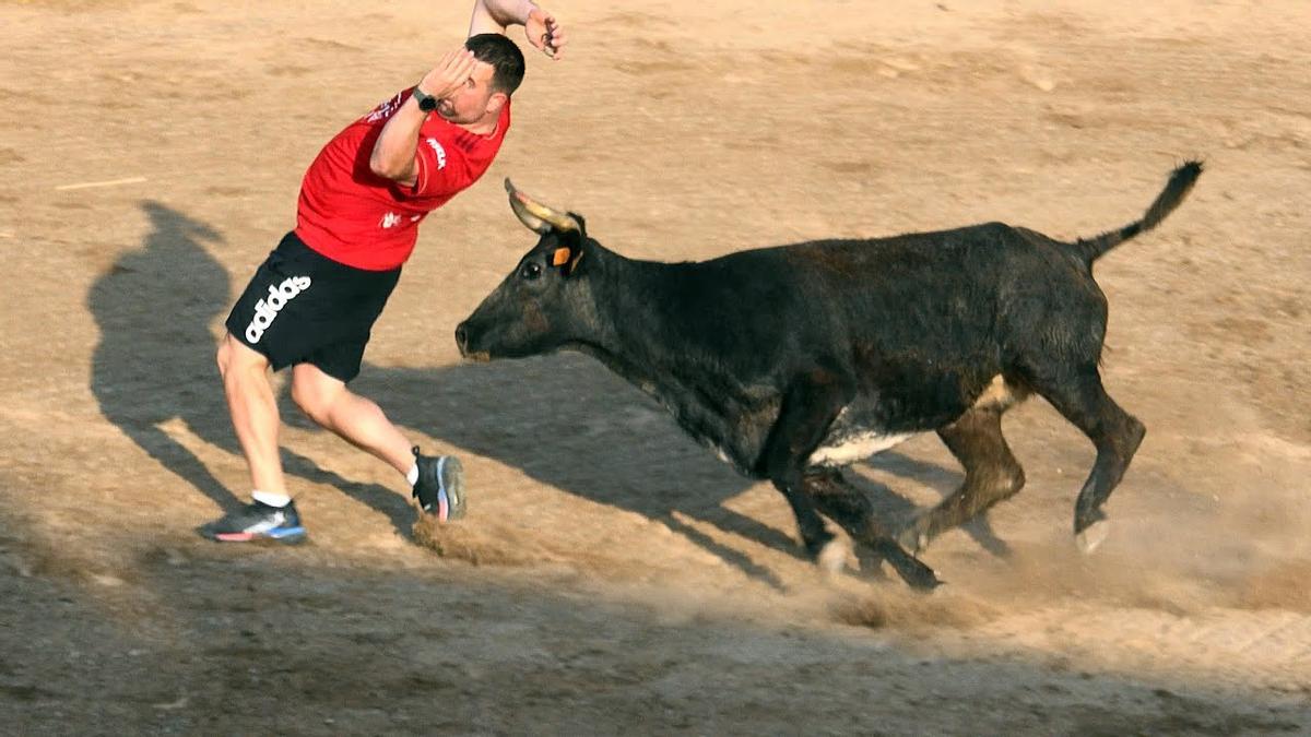 Un joven hace un recorte a una vaquilla en un festejo en Aragón, en una imagen de archivo.