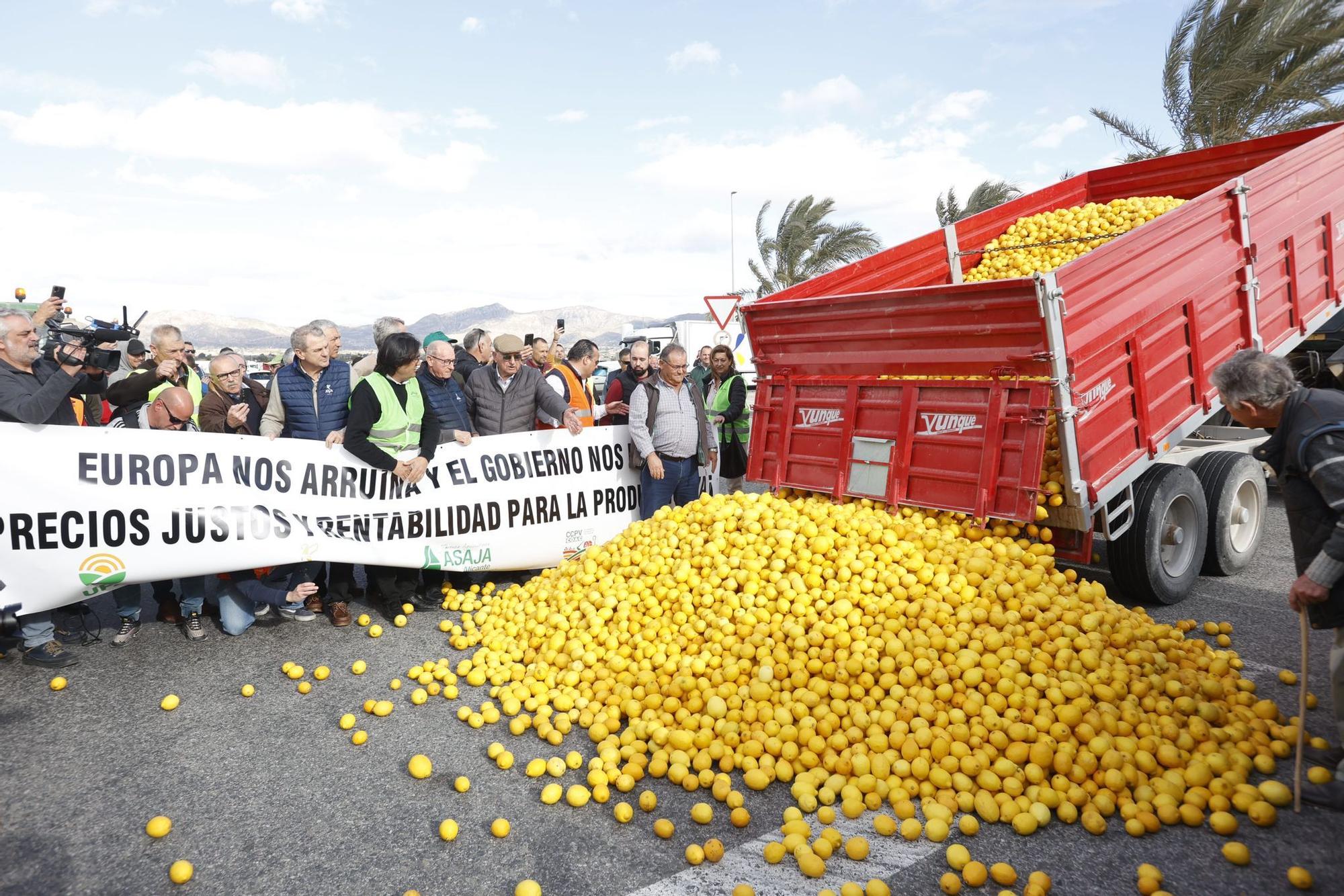 Los agricultores se concentran en tres comarcas de la provincia de Alicante en una tractorada por carreteras secundarias