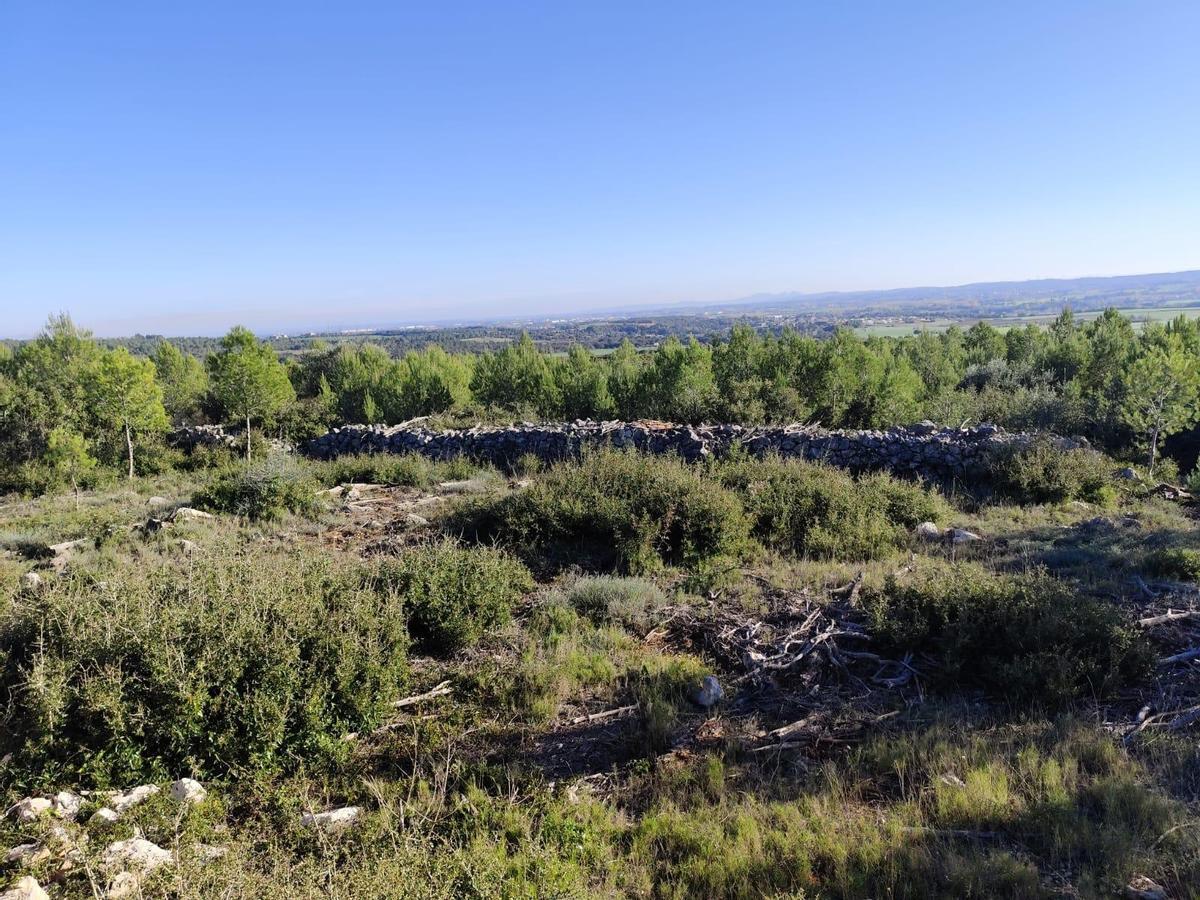 La Garriga d'Empordà.