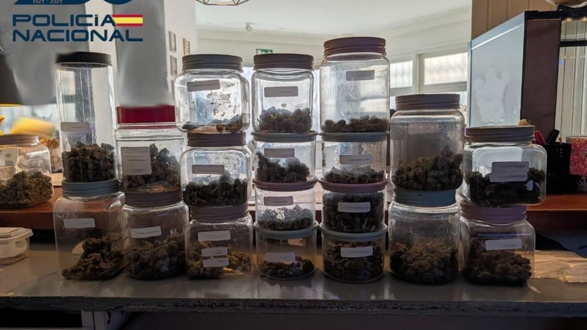 Botes con marihuana decomisados en el local.