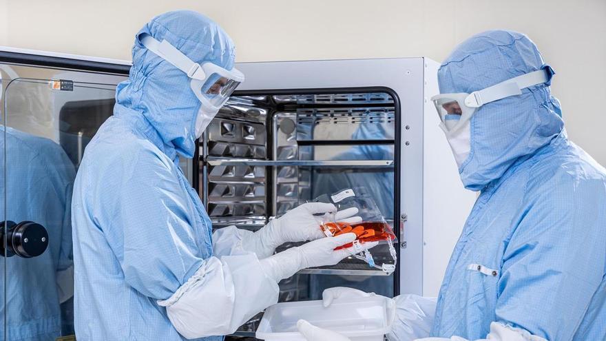 Dentro de la fábrica donde se produce la esperanza contra el cáncer: así nacen las terapias CAR-T