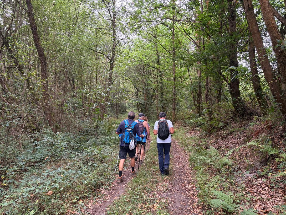 Las rutas por Grado del Grupo Montañero Moscón, en imágenes