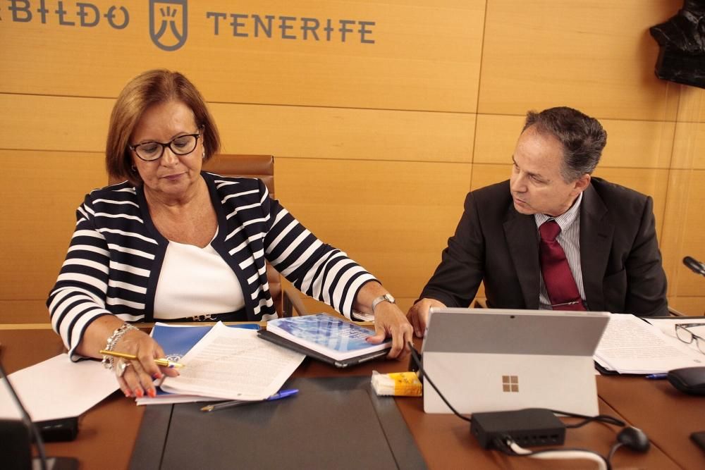 Moción de censura en el Cabildo de Tenerife