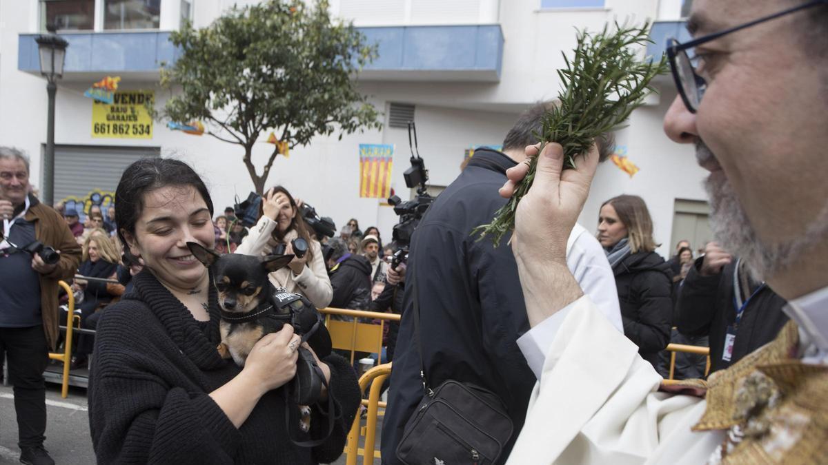 Fiesta de Sant Antoni en València: horario de la bendición de animales Fiesta de Sant Antoni en València: horario de la bendición de animales