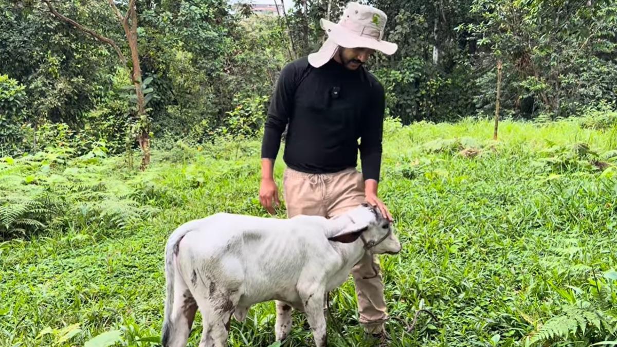 Además de gallinas, su granja cuenta con otros animales, los cuales reciben visita del veterinario casi cada día.