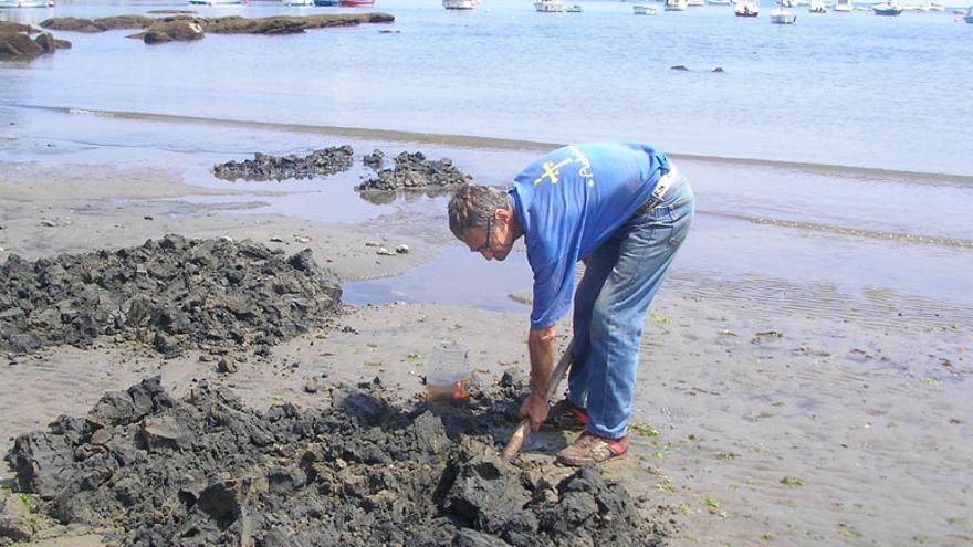¿Eres pescador y necesitas cebo?: todo esto es lo que hay que cumplir para hacerte con gusanos en Asturias