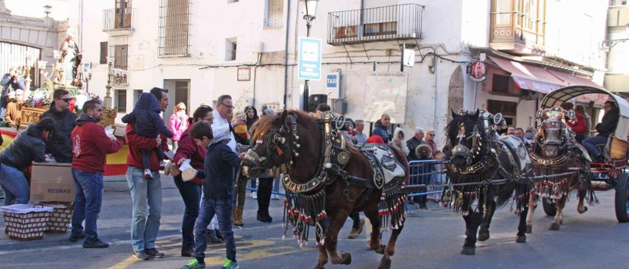 Segorbe celebra la bendición de los animales