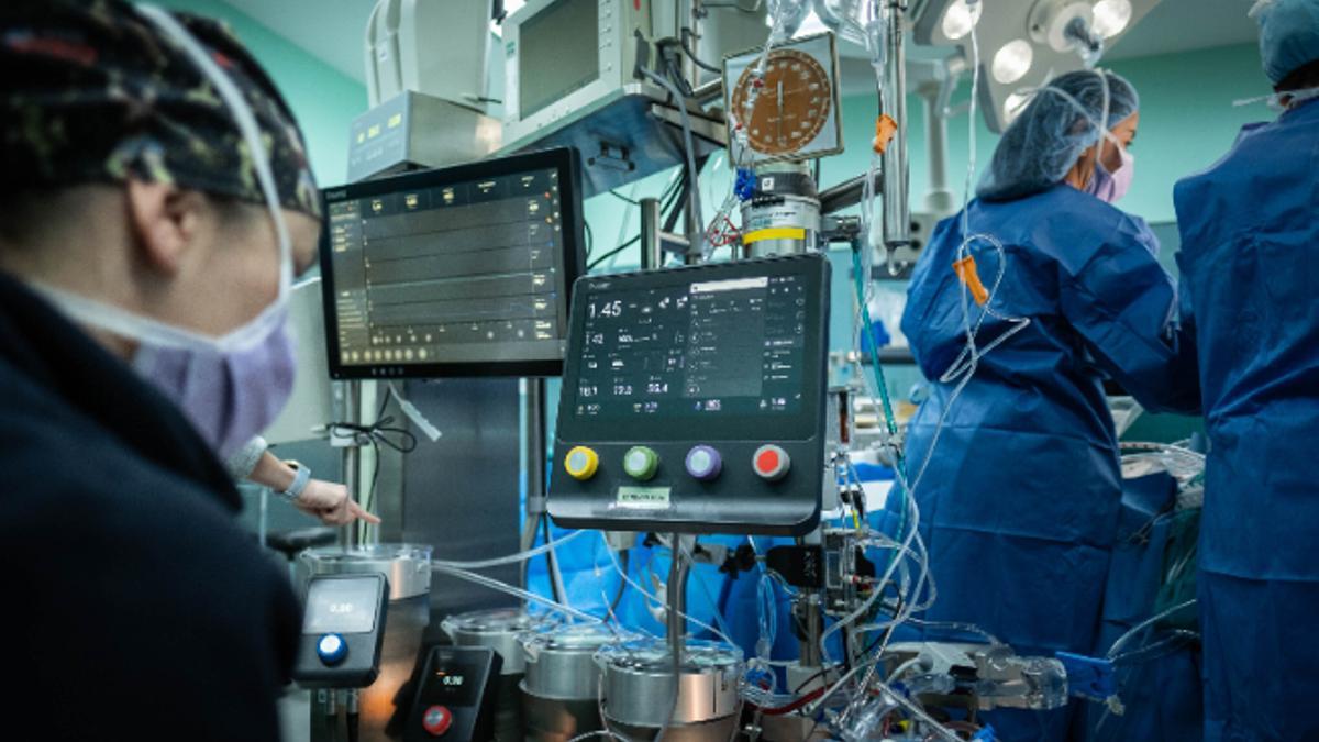 AFILIADOS TRABAJO PARO | 10.051 parados menos y récord de empleo en Canarias al terminar 2025 AFILIADOS TRABAJO PARO | 10.051 parados menos y récord de empleo en Canarias al terminar 2025