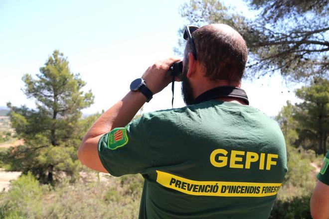 El calor récord de mayo dispara el riesgo de incendios en las Terres de l’Ebre y adelanta la campaña forestal