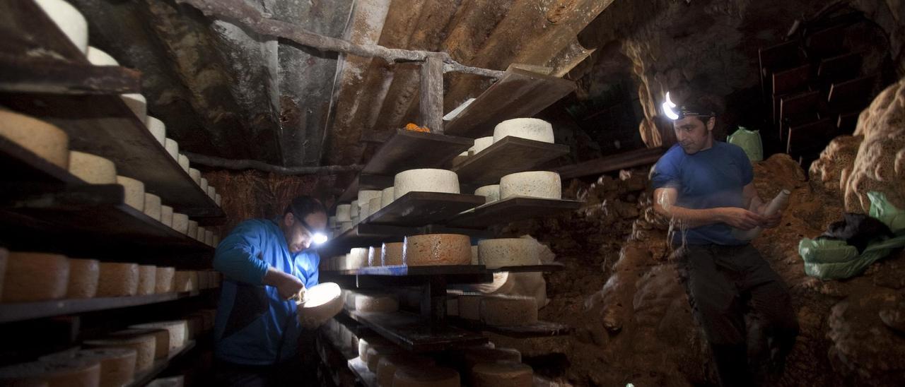 Elaboradores de Cabrales, en una de las cuevas de maduración