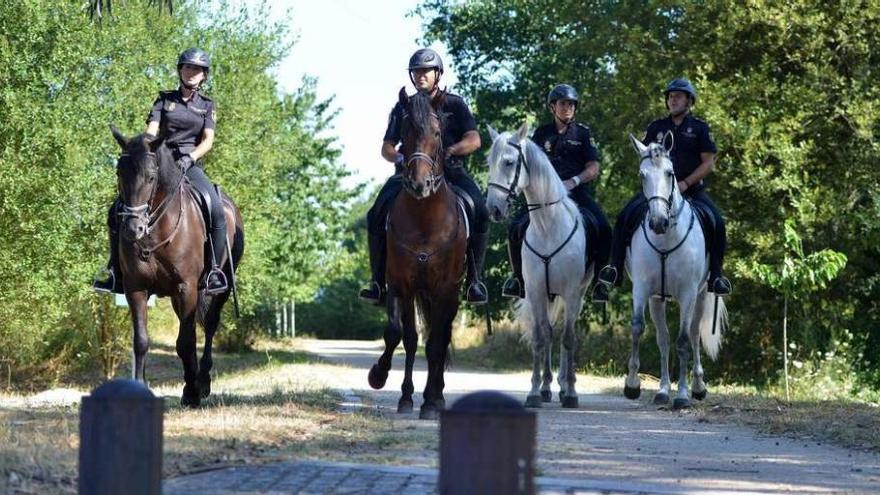 Cuatro agentes montados a caballo en las Marismas del Alba. // Gustavo Santos