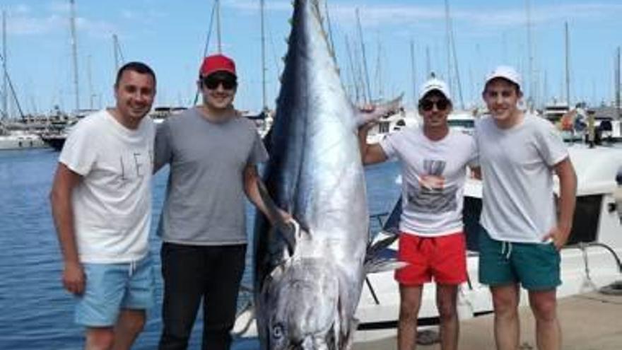 Pescan en Dénia un atún rojo de 241 kilos