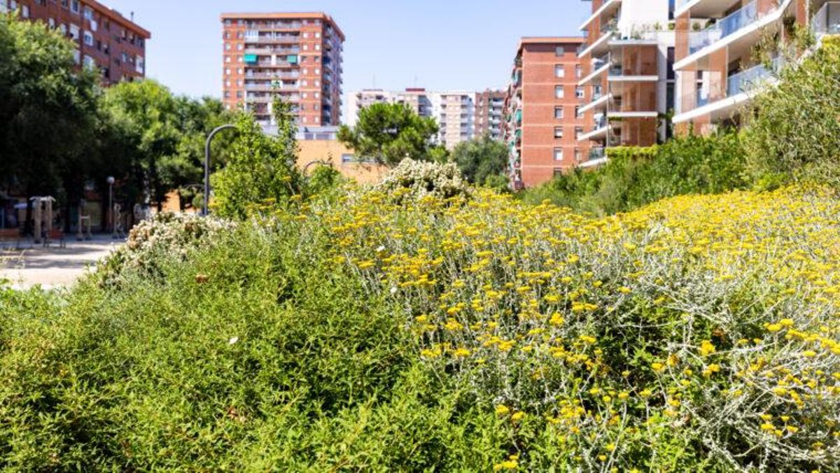 La recién renovada plaza del Maresme de Barcelona