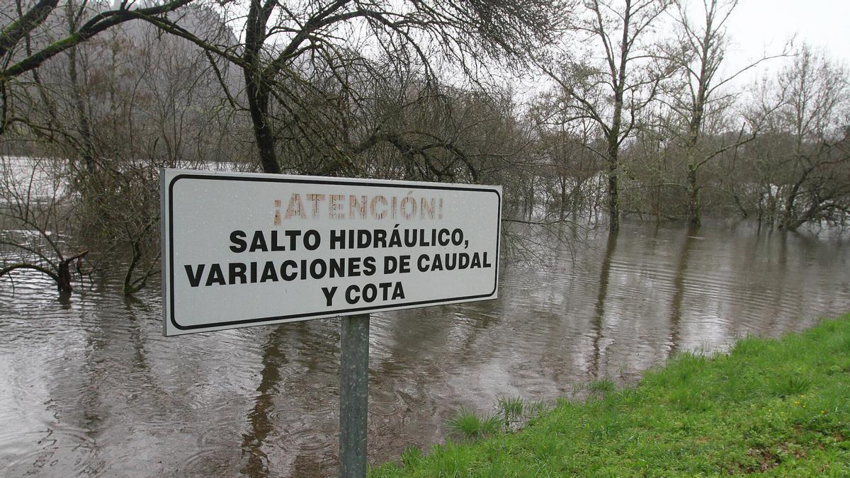 El Miño en la zona del Muíño da Veiga, en Ourense ciudad, cubre árboles y paseos.