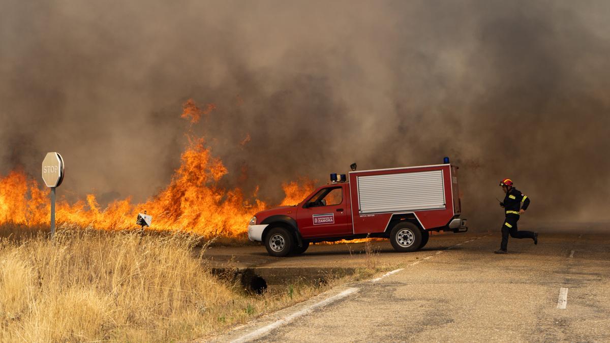 Los bomberos atacan una reproducción en San Martín de Tábara