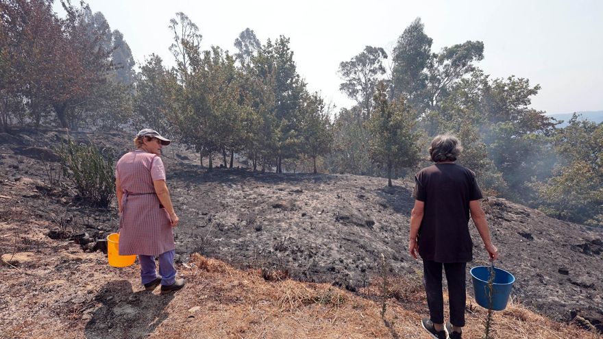 «No podíamos sentarnos a esperar, arderían las casas con nosotros dentro»