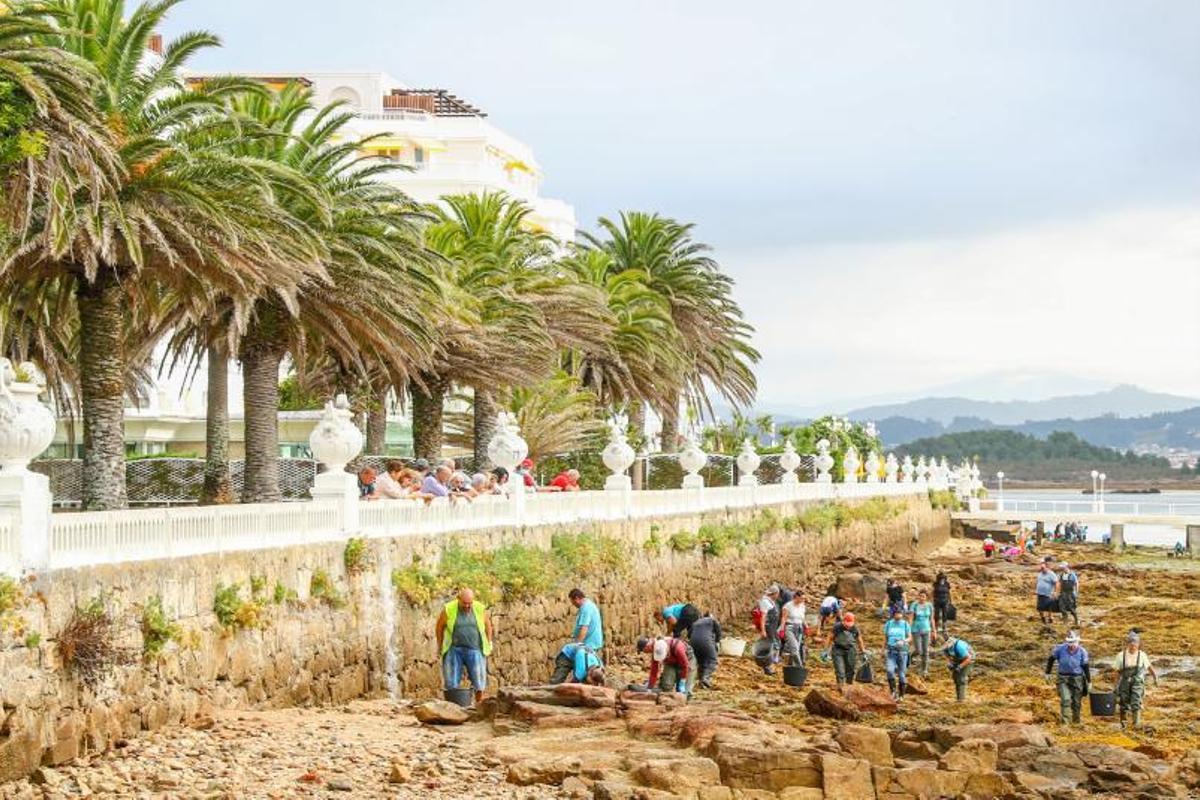 Eliminación de basura marina a manos de la cofradía San Martiño, con apoyo de Mar.   | //  IÑAKI ABELLA