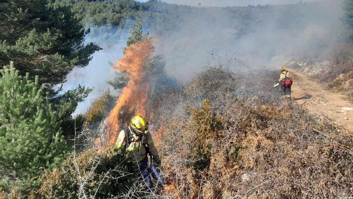 Un equip dels GRAF fent una crema controlada per reduir massa vegetativa. Foto: Bombers