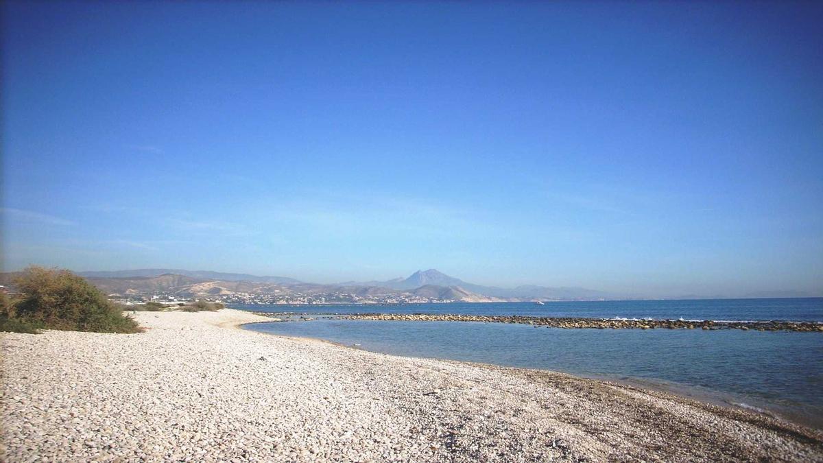 Playas de perros en Alicante: Playa de Punta del Riu Sec, El Campello