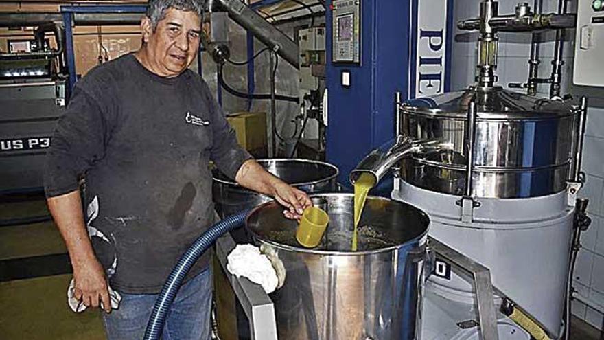 Un operario comprueba el aceite que sale de la almazara.