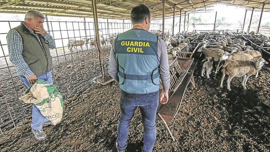 Los equipos Roca han imputado o detenido a 2.300 personas en 5 años