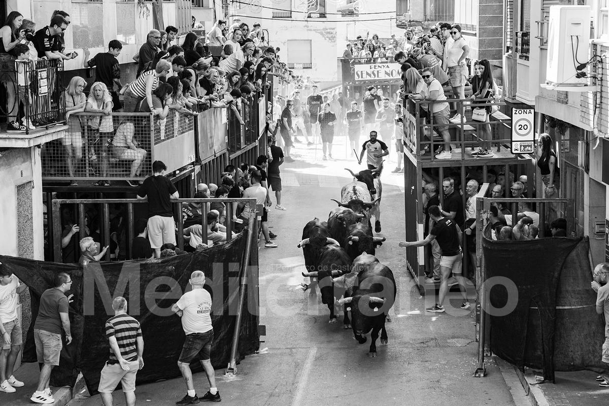 Bous a l'Alcora 2025