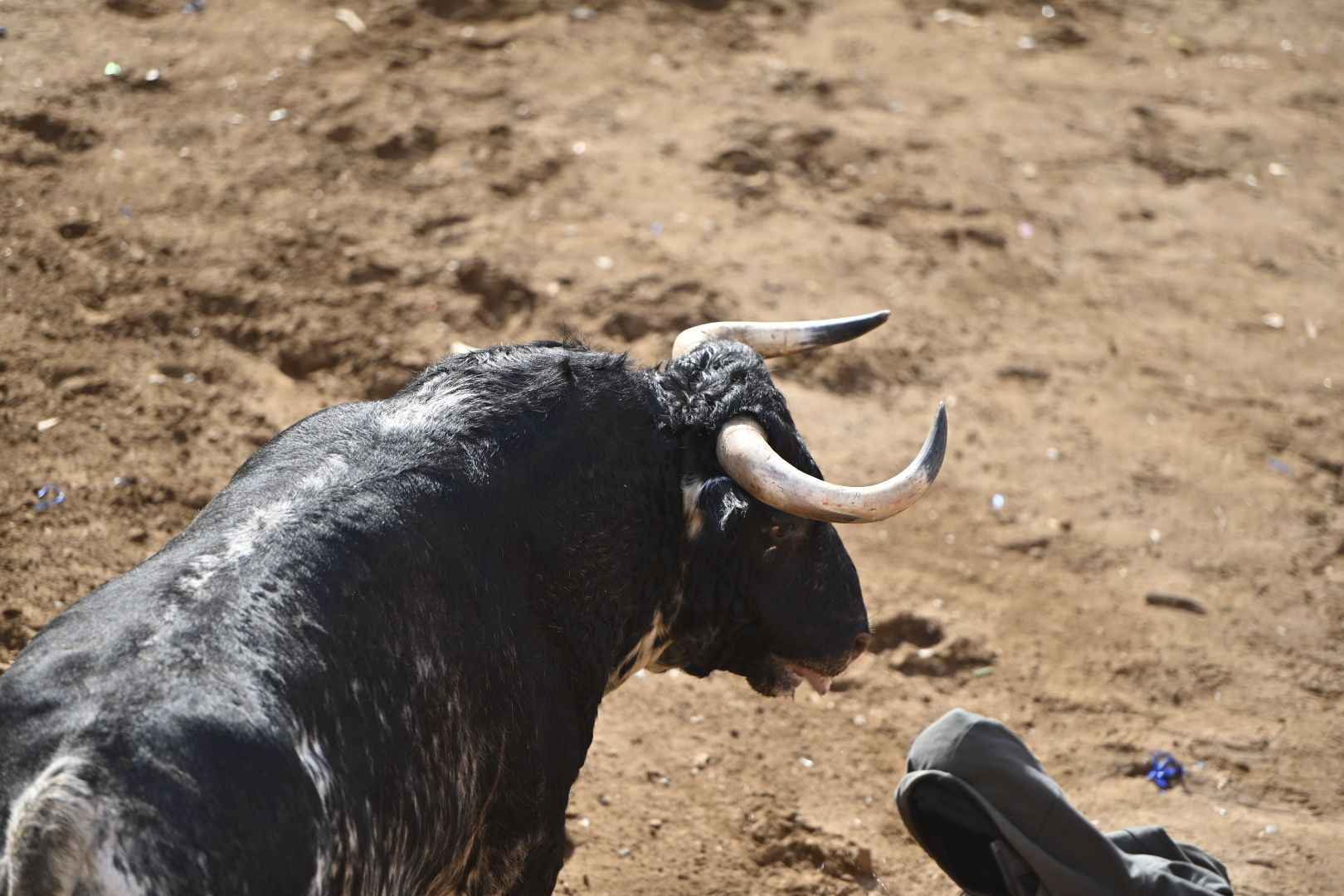 Galería | Primera tarde de toros en Almassora